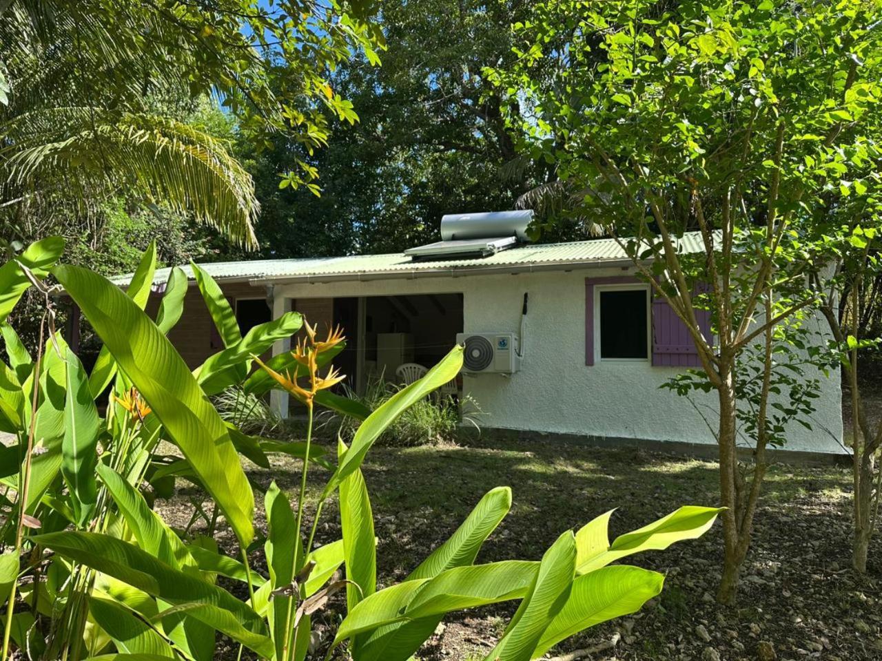 Gwada Reves Villa Sainte-Anne  Eksteriør bilde